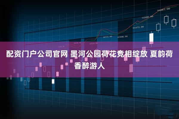 配资门户公司官网 墨河公园荷花竞相绽放 夏韵荷香醉游人
