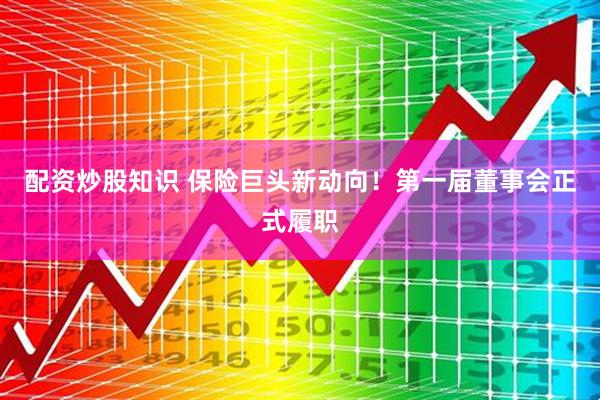 配资炒股知识 保险巨头新动向！第一届董事会正式履职