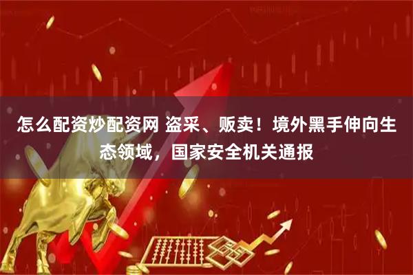 怎么配资炒配资网 盗采、贩卖！境外黑手伸向生态领域，国家安全机关通报