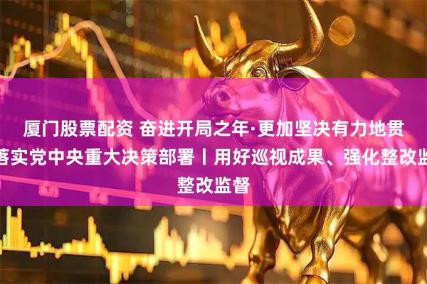 厦门股票配资 奋进开局之年·更加坚决有力地贯彻落实党中央重大决策部署丨用好巡视成果、强化整改监督